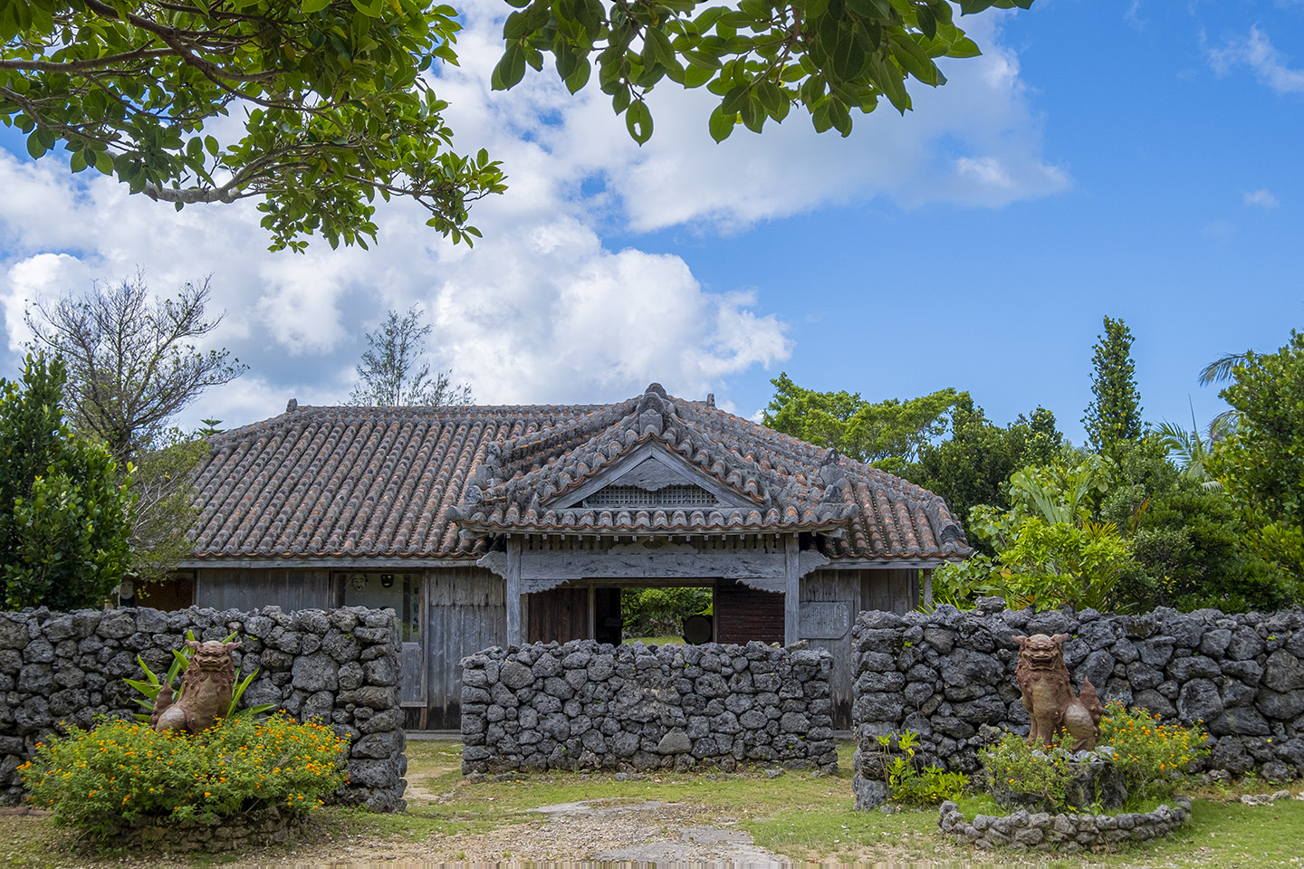 石垣やいま村の真相！リスザル園の注意点から割引・所要時間まで現地徹底解剖