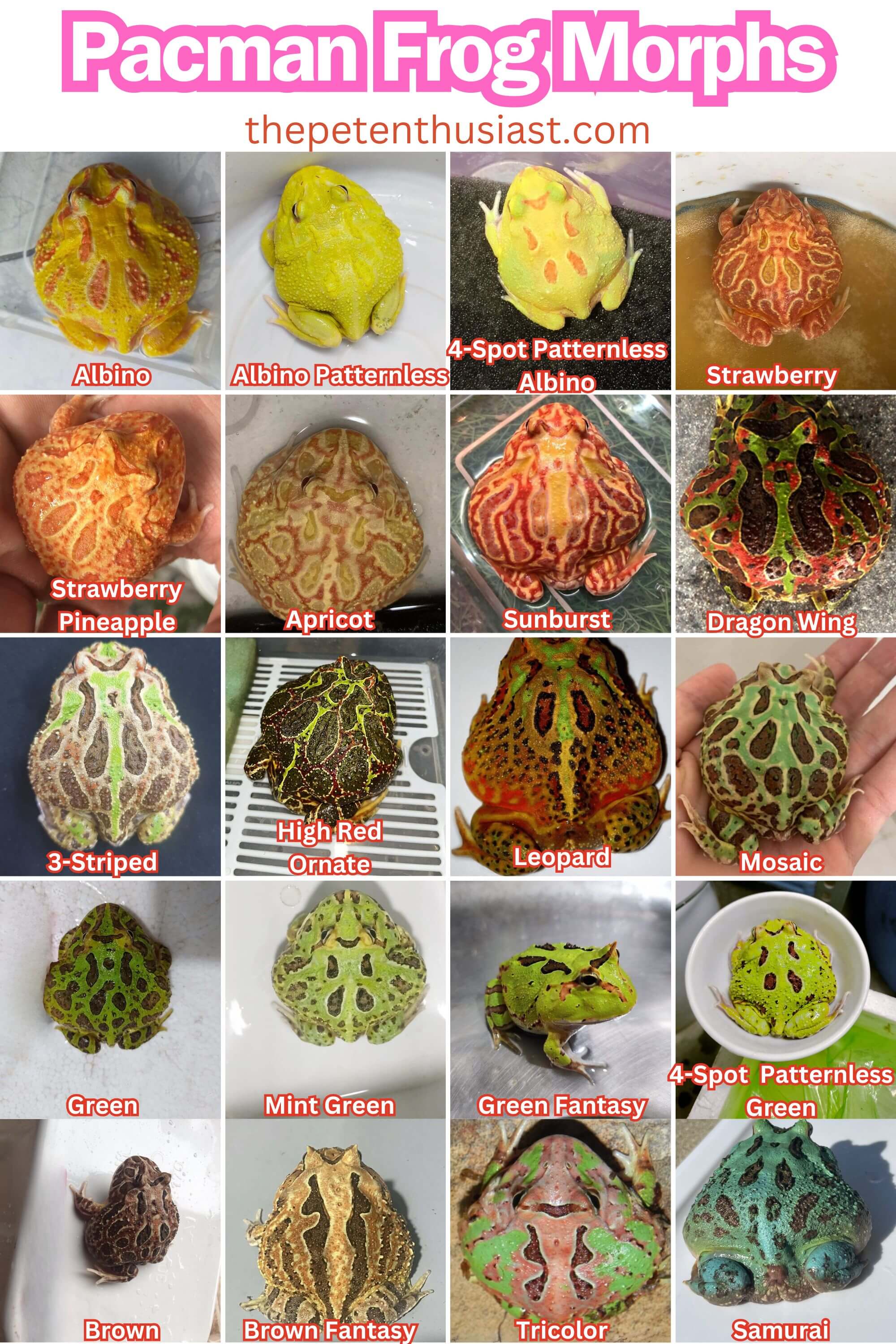 【噂】 俺 で なきゃ 見逃し ちゃう ね 最新ファイル＆画像まとめ #724