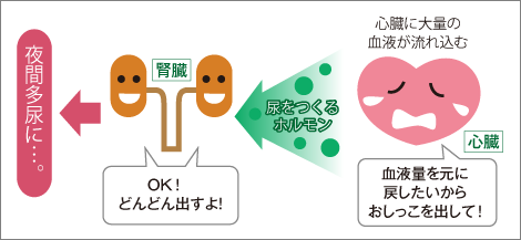 【真相】 心 因 性 頻 尿 子供 ブログ 経歴＆学歴まとめ 2026 #732