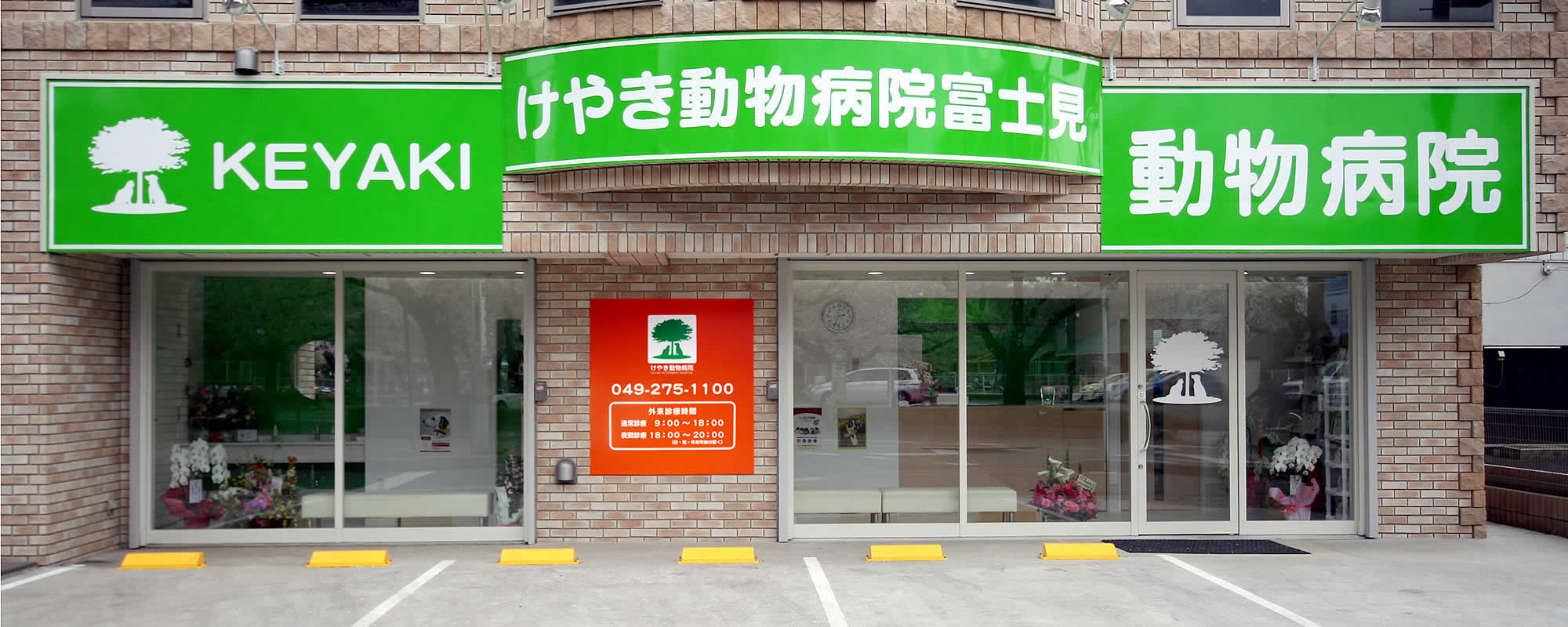 けやき動物病院の評判と実態は？診療料金や夜間対応の真実を徹底調査