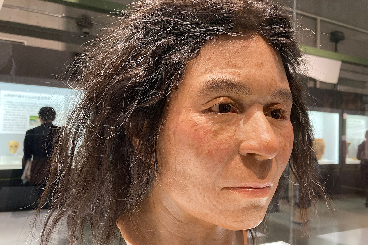 ハイエナの真実2026｜百獣の王を凌ぐ“最強の頭脳派”が生き残る過酷な掟