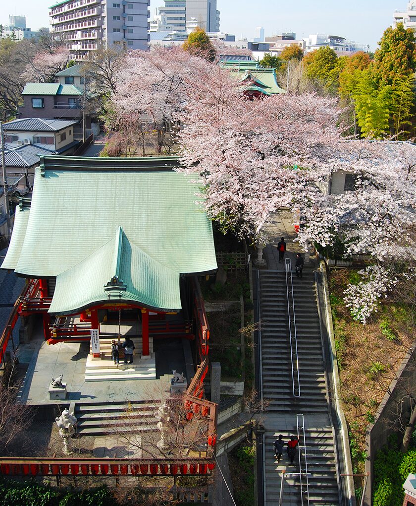 市谷亀岡八幡宮がペット祈願の聖地と呼ばれる理由と参拝完全ガイド