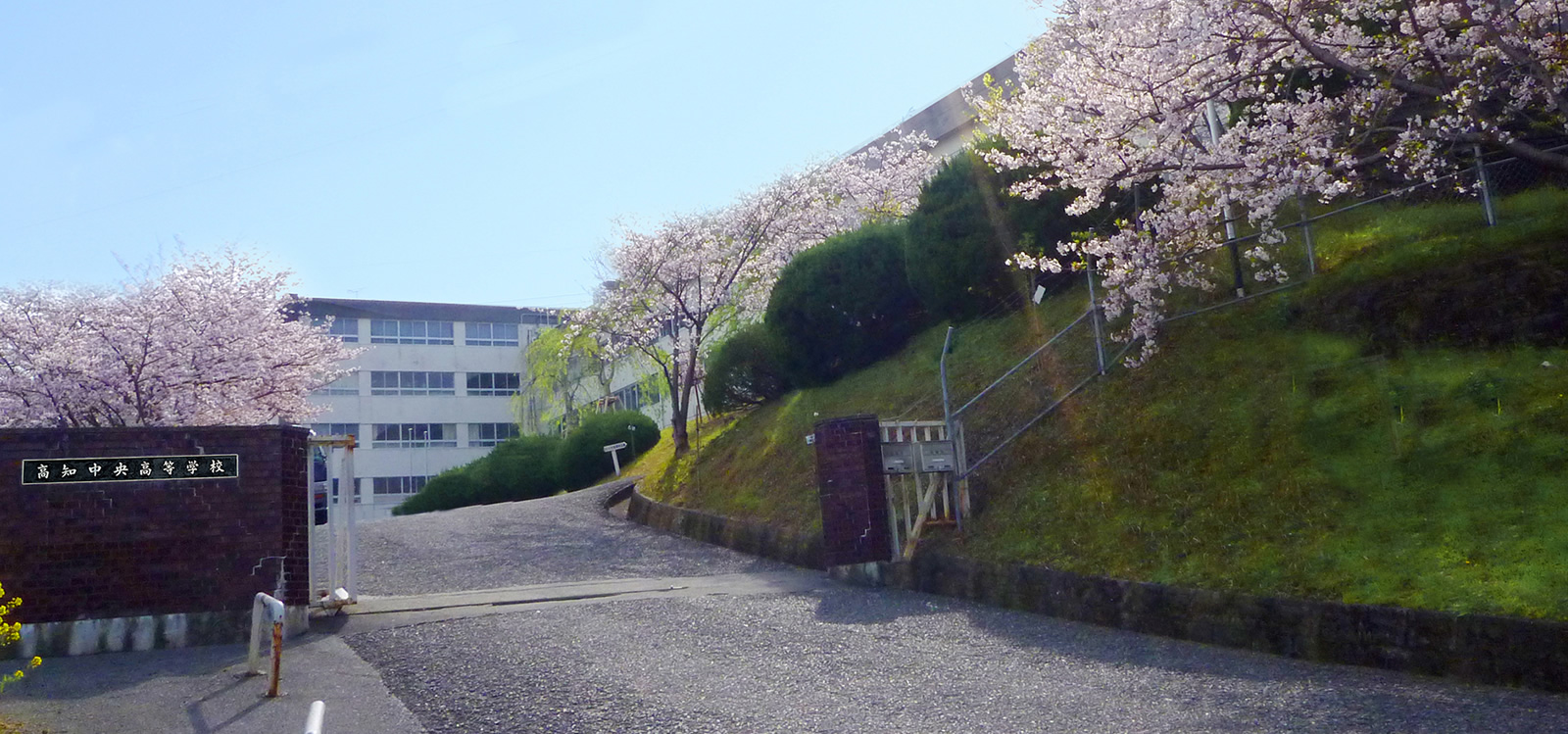 明徳義塾高校の評判と実態｜偏差値・学費・寮生活の真相を徹底解剖