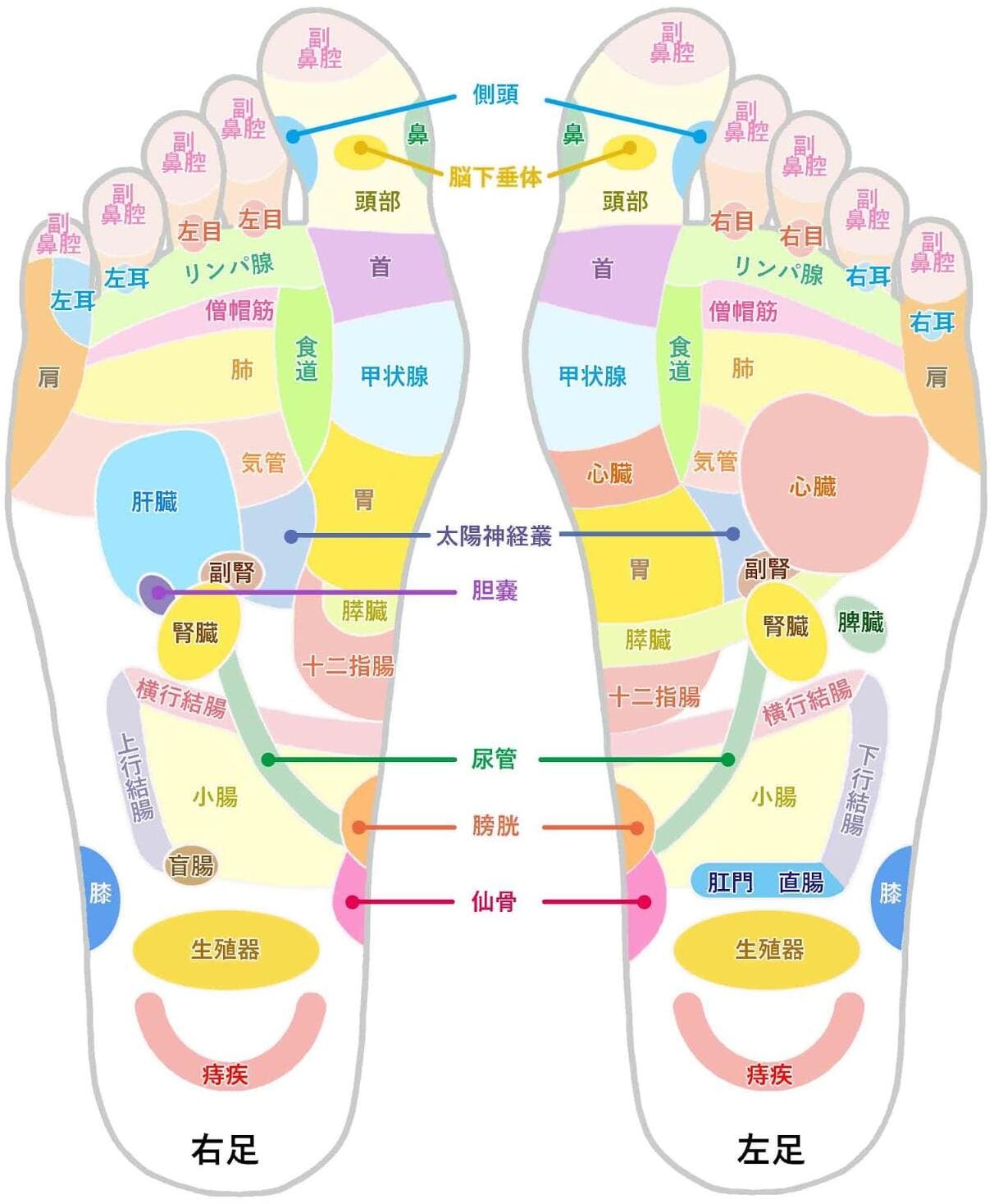 【2026年最新】ハイフとは？効果と痛みの真相・後悔しない選び方