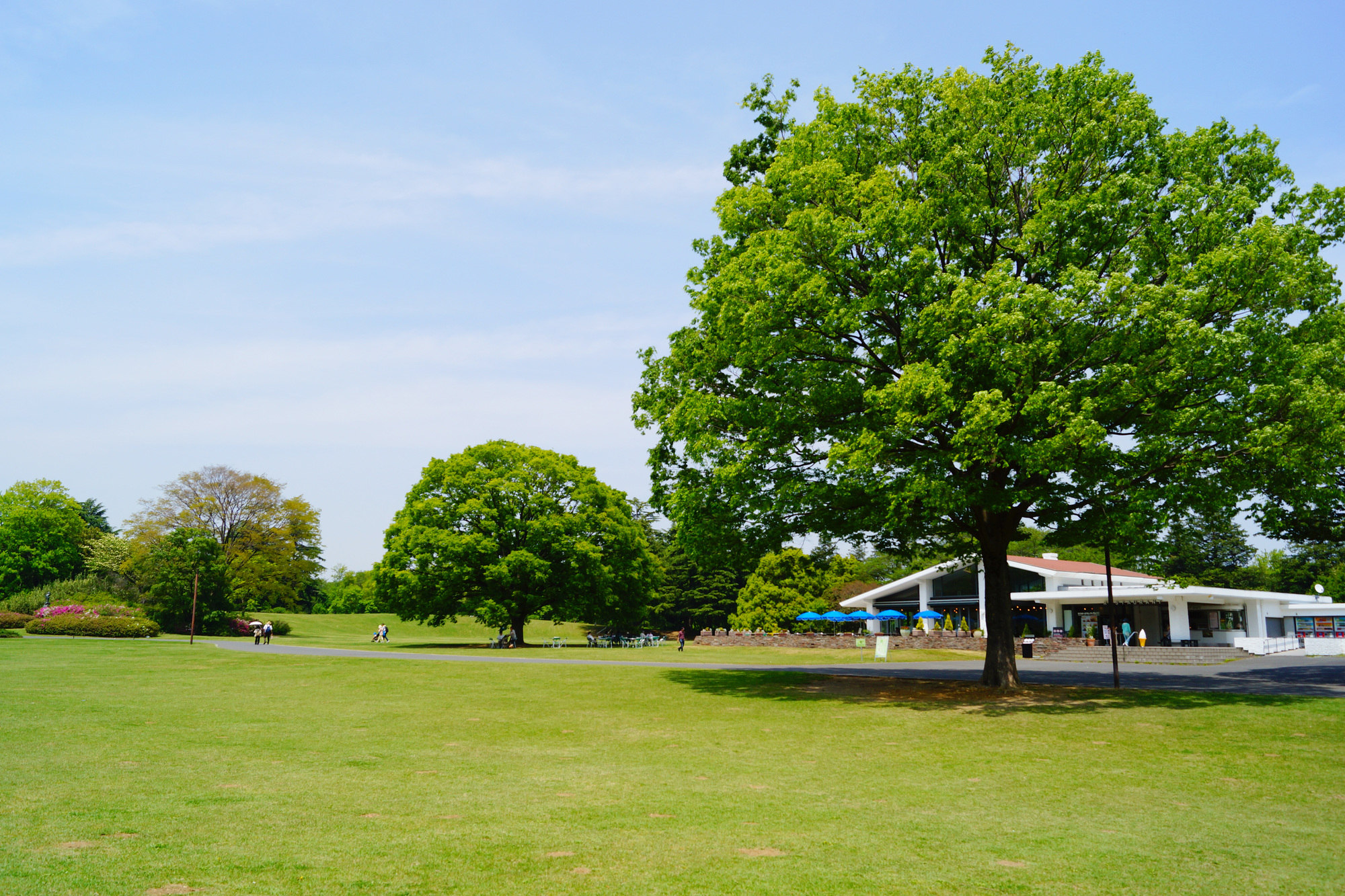 「超巨大公園」構想の裏側とは？ネット炎上と噂の真相を徹底取材