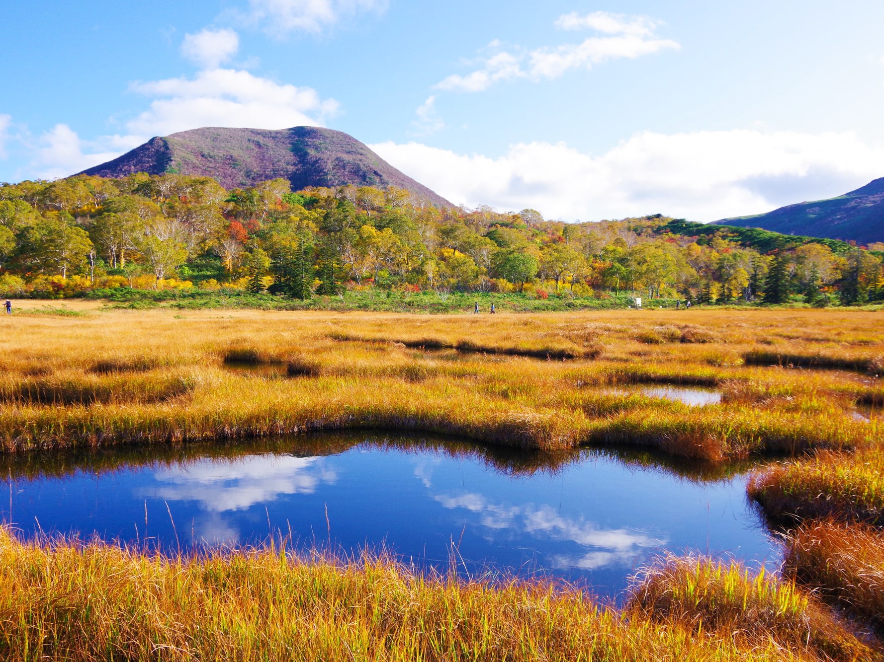 ニセコ高橋牧場マンドリアーノの真実！絶景ピザの評判と混雑攻略法