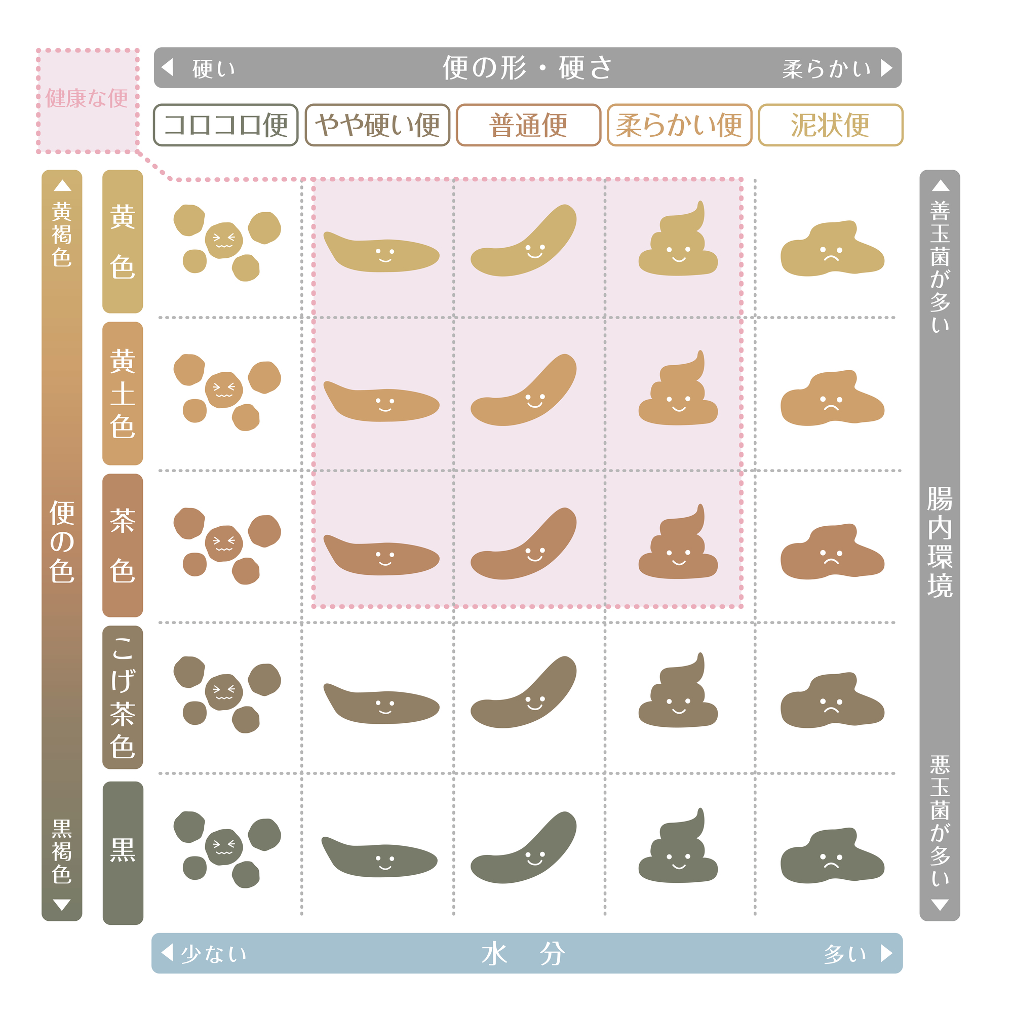 大人の白っぽい便は病気のサイン？原因と危険度を専門記者が徹底解説