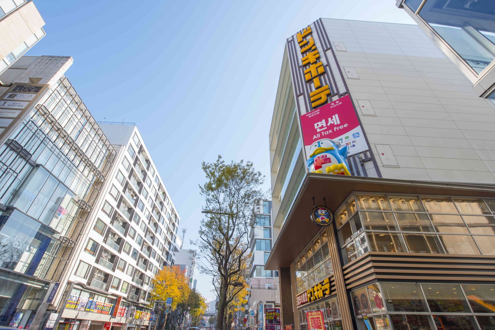 【2026最新】ドンキ福岡天神本店を徹底攻略！深夜混雑回避と限定土産