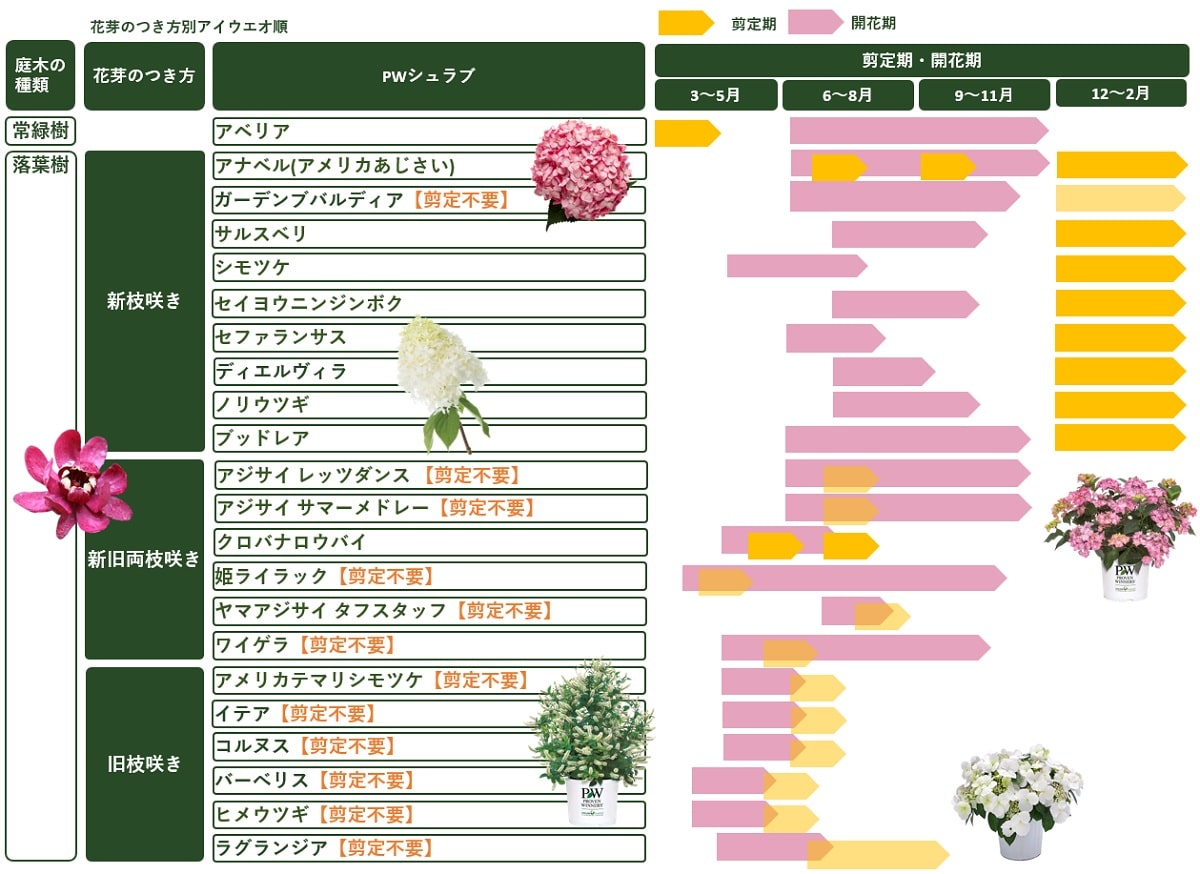 木の剪定時期を間違えると枯れる原因になるって本当？庭木ごとに最適な季節が違う決定的な理由と注意点
