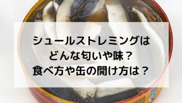 【話題】 シュール ストレミング どんな 匂い インスタライブ最新動画 #799