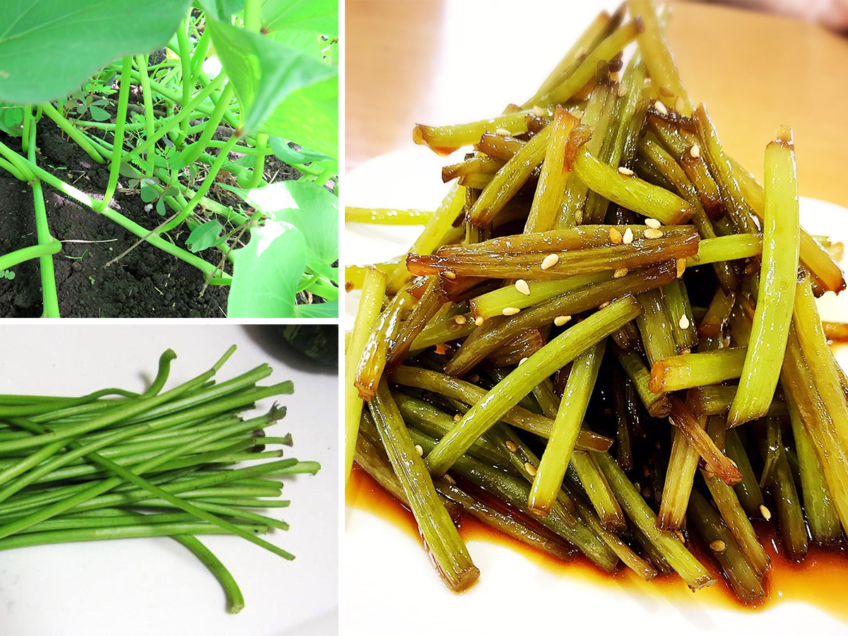 さつまいもの茎（芋づる）の食べ方！簡単下処理と絶品レシピ完全ガイド