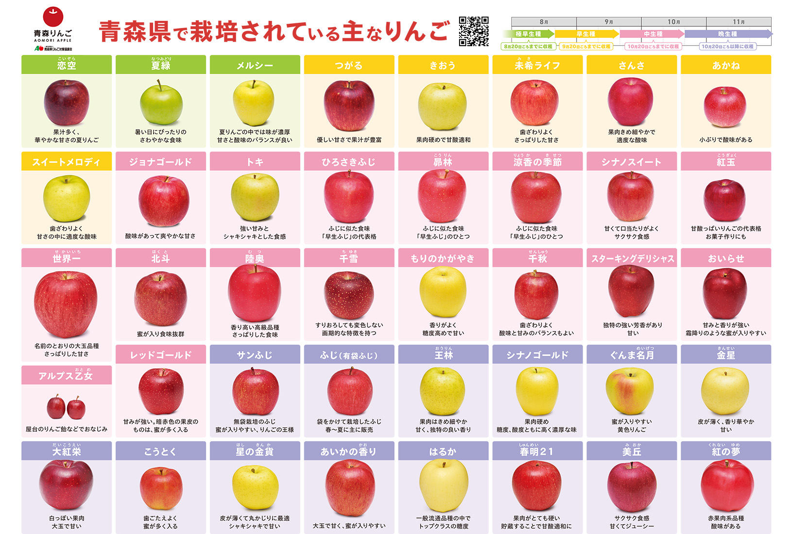 ミシュランシェフが明かす！りんごのリゾット極秘レシピと黄金比