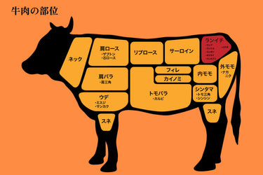 【速報】 ランプ 肉 と は 最新熱愛噂まとめ #787