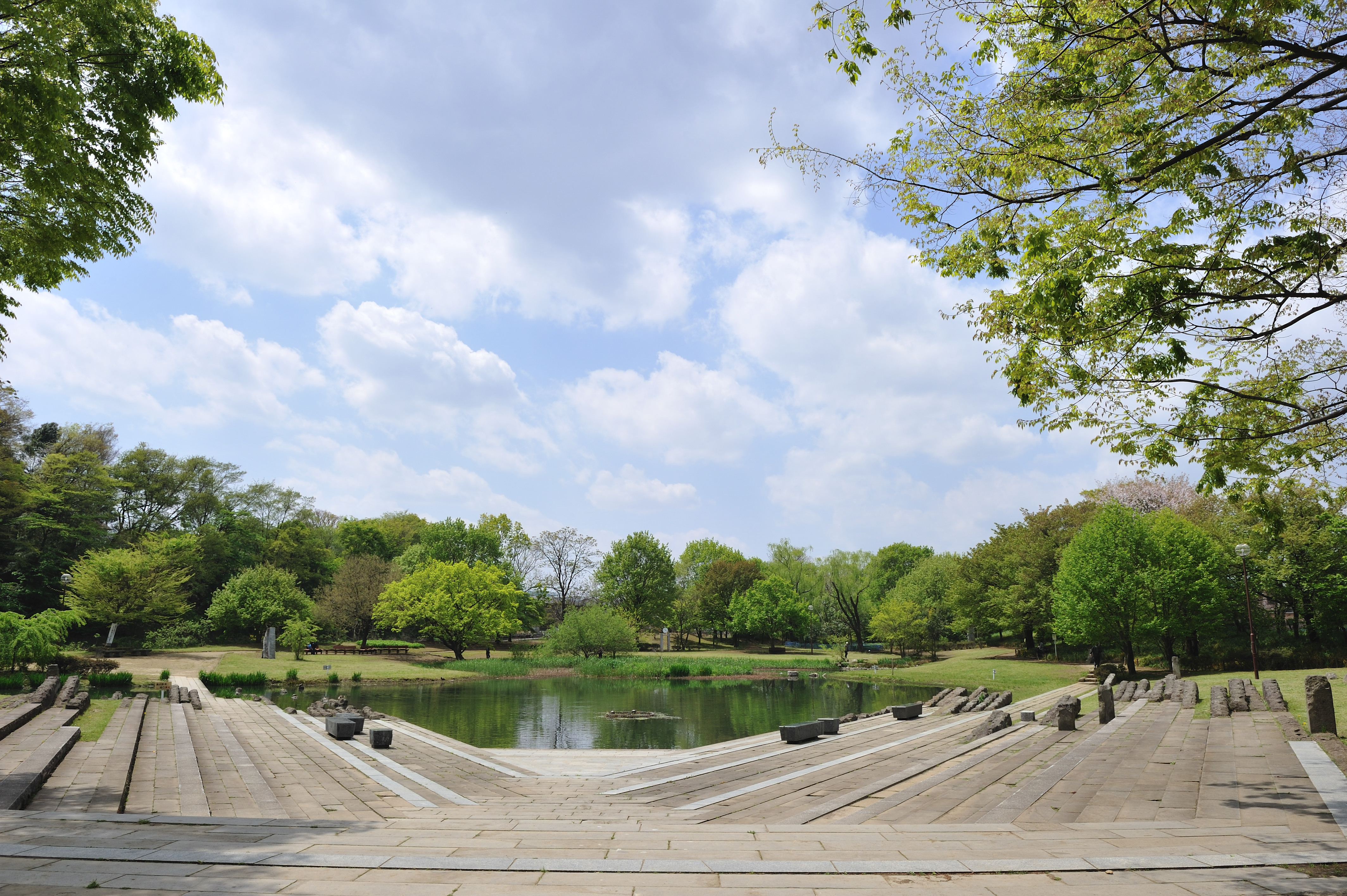 清瀬金山緑地公園のBbq禁止理由と2026年最新ルール｜完全解説