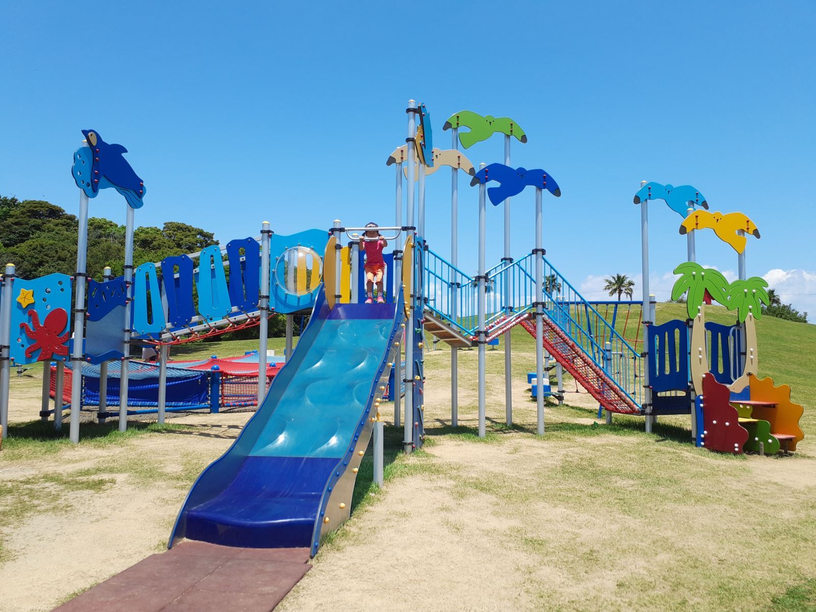 竜洋海洋公園の魅力解剖！大人気キャンプ場・温泉・遊具の攻略法【2026】