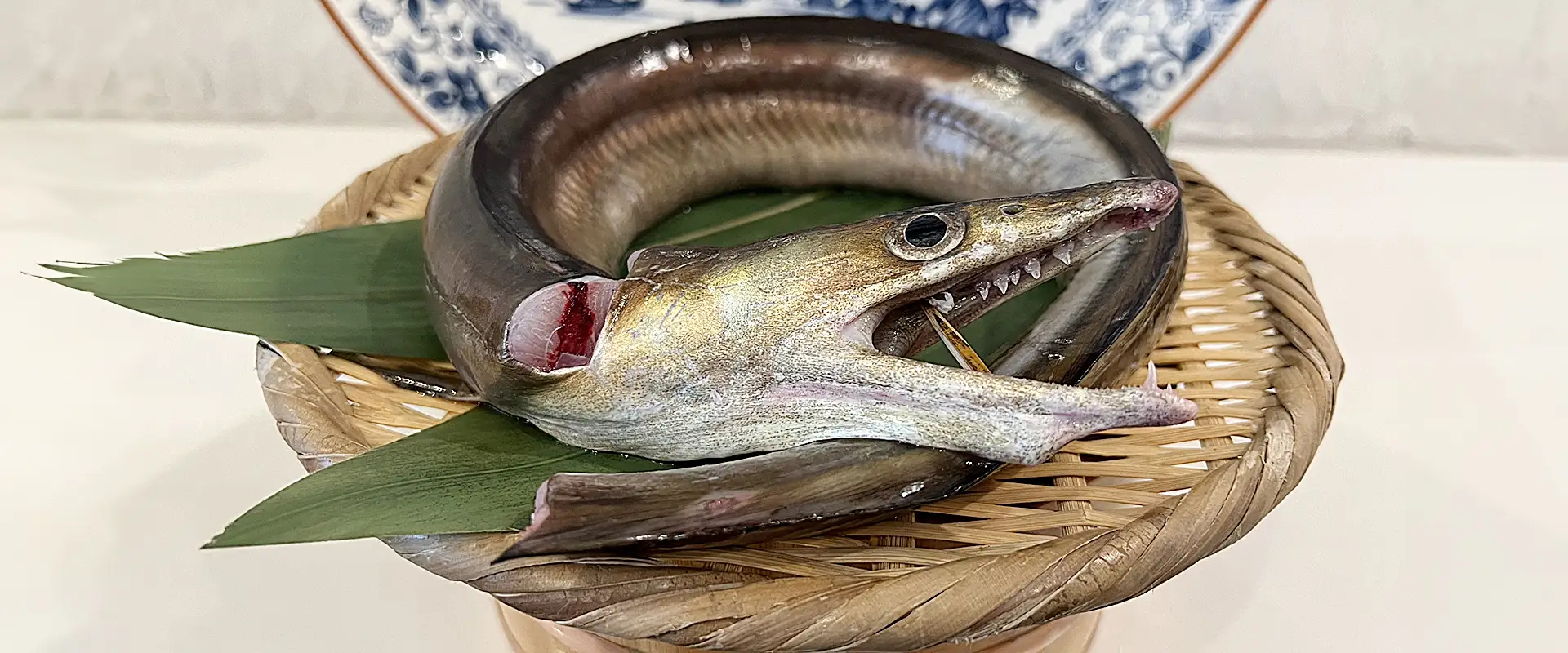 魚偏に豊「鱧」の読み方と意味！漢字の由来から旬の絶品知識まで解説