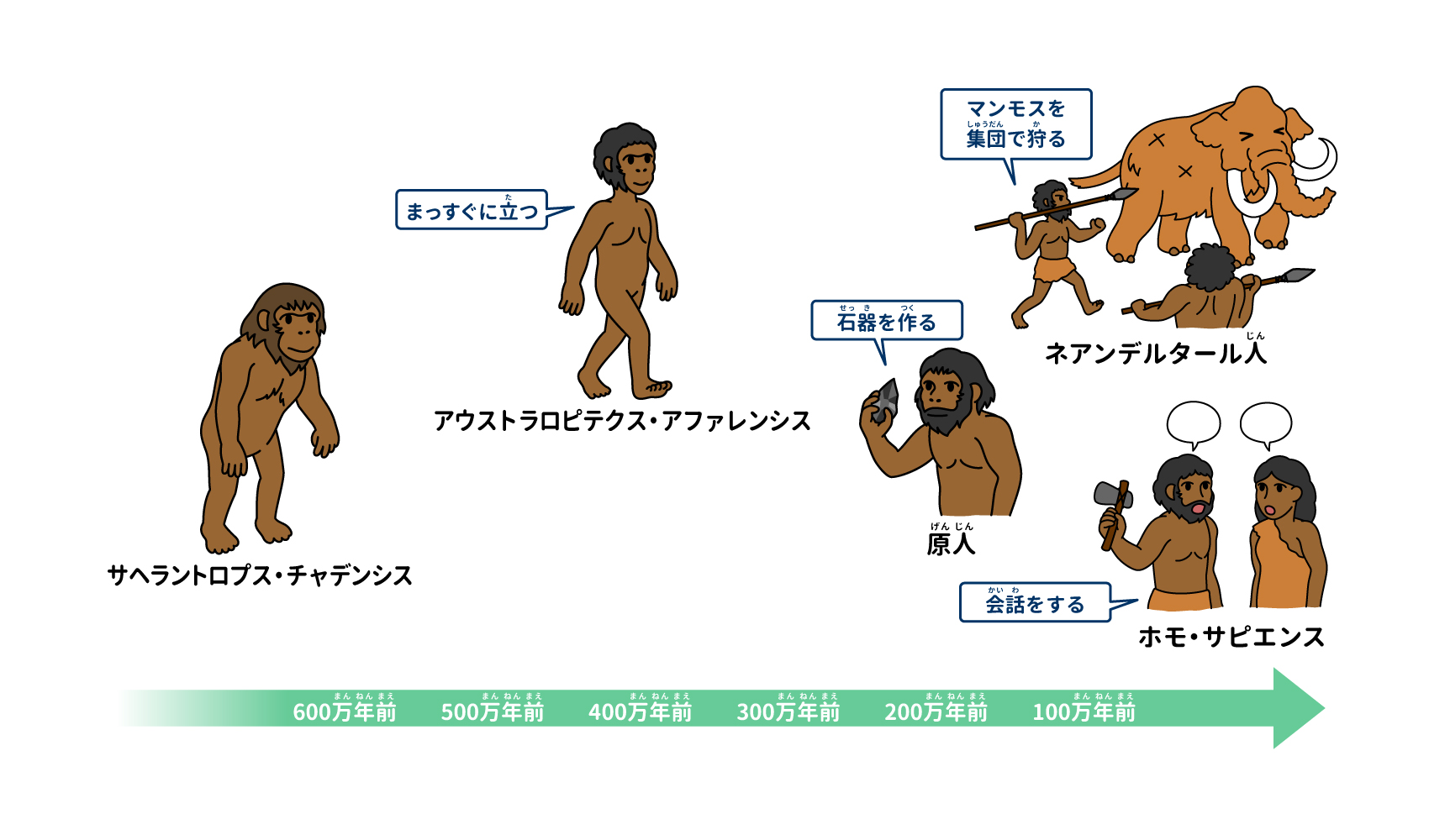人類の進化は止まっていない？猿人から未来予測まで科学が明かす真実