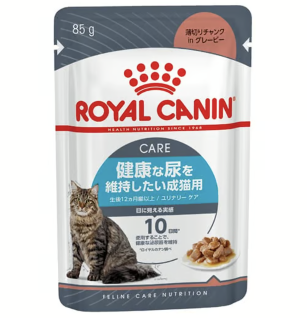 愛猫が長生きするご飯の正解！2026年最新おすすめキャットフード徹底比較