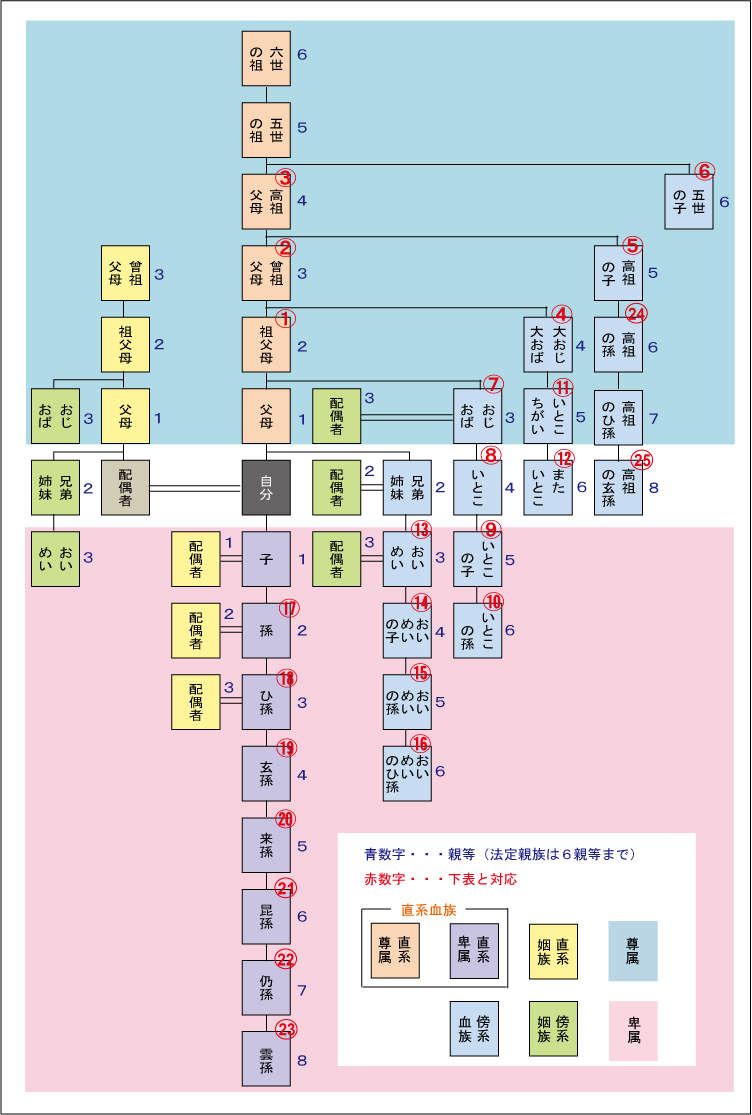 いとこの子供の続柄は？「はとこ」は間違い！正式名称や結婚の真相