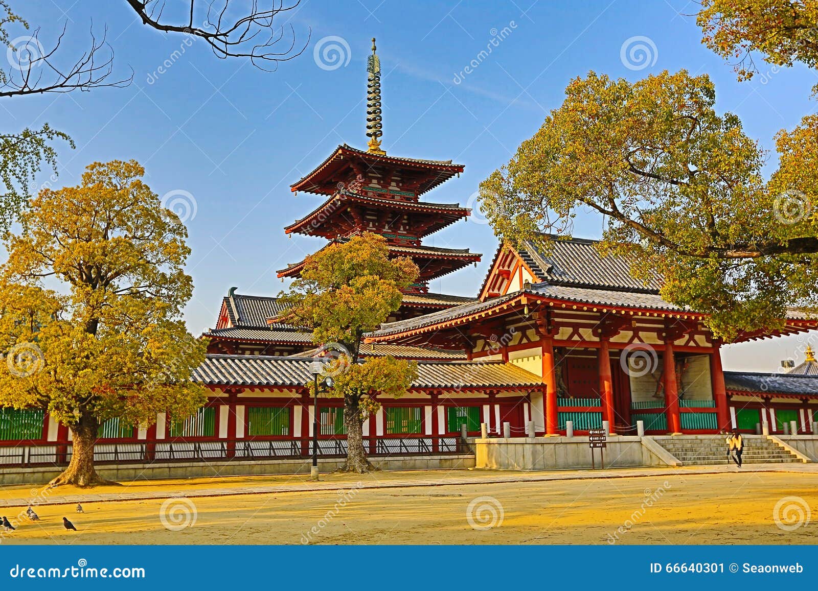 【2026年最新ルポ】劇的変貌を遂げる大阪・天王寺——伝統の下町と最先端都市機能が交差するメガゾーンの現在地
