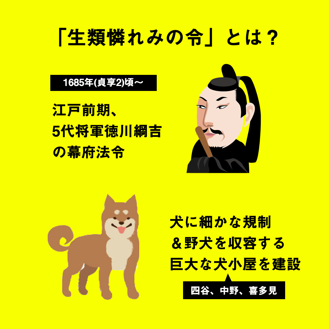 生類憐れみの令は本当に悪法か？徳川綱吉の真意と再評価の真相を解明