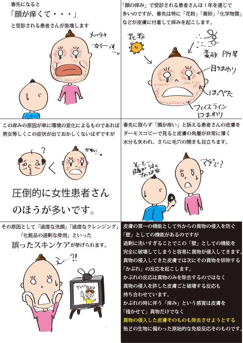 トマトで口の痒みや蕁麻疹？大人の突然発症や加熱・検査の真相