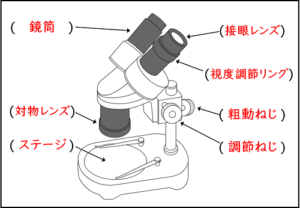 【2026最新】 双眼 実体 顕微鏡 名前 2026年最新芸能速報 #641