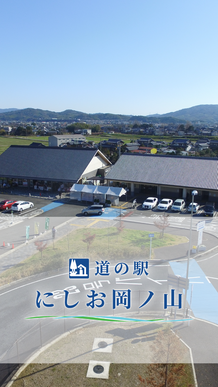 西尾抹茶とうなぎを堪能！道の駅にしお岡ノ山で得する観光ガイド