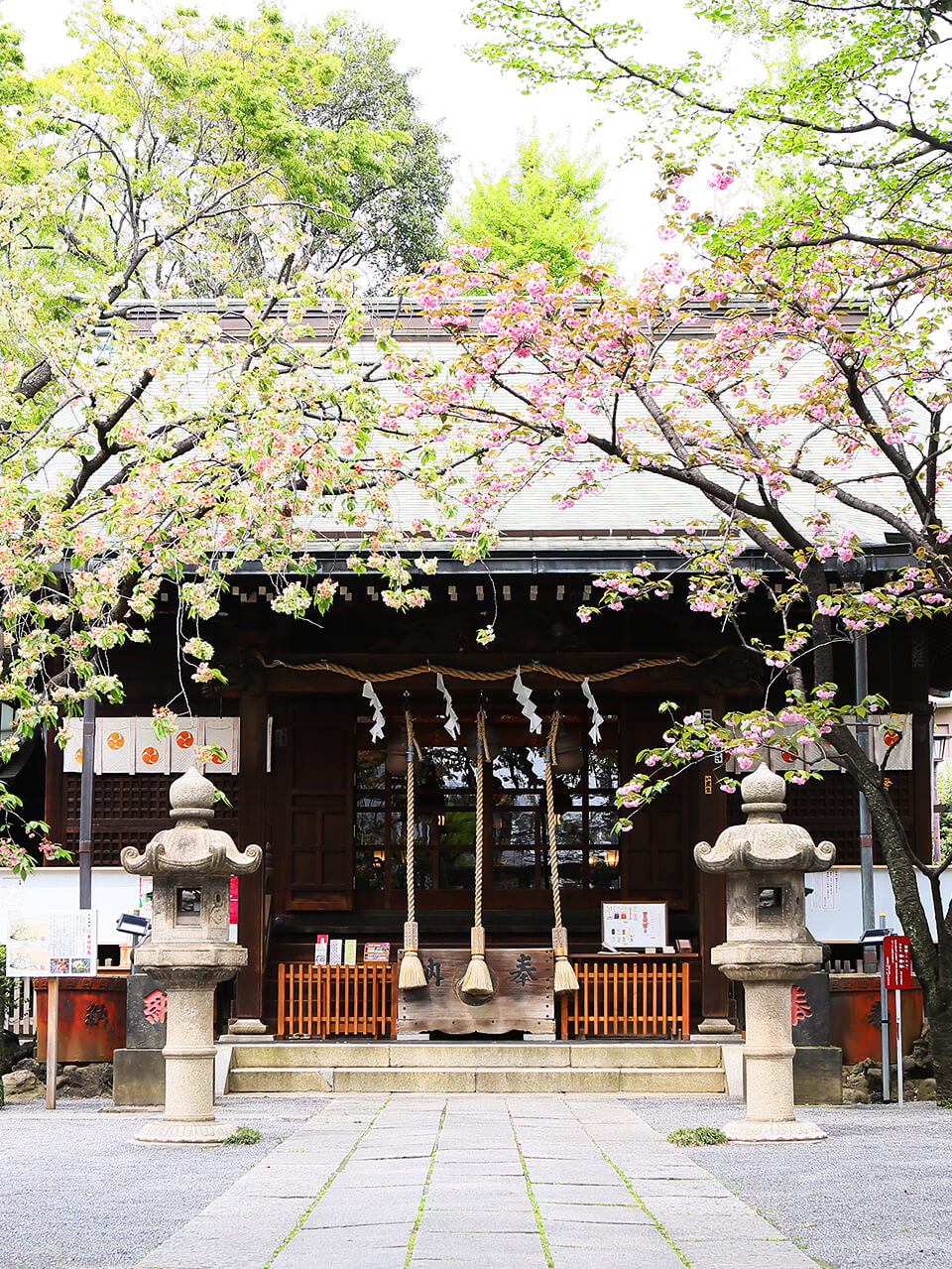渋沢栄一ゆかりの七社神社が人気の理由！限定御朱印・ご利益を徹底解剖