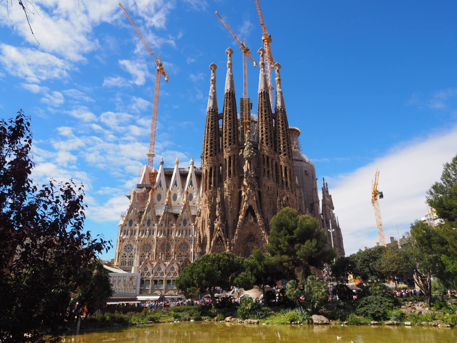 スペインと日本のハーフが持つ圧倒的魅力！第一線で放つ輝きの秘密