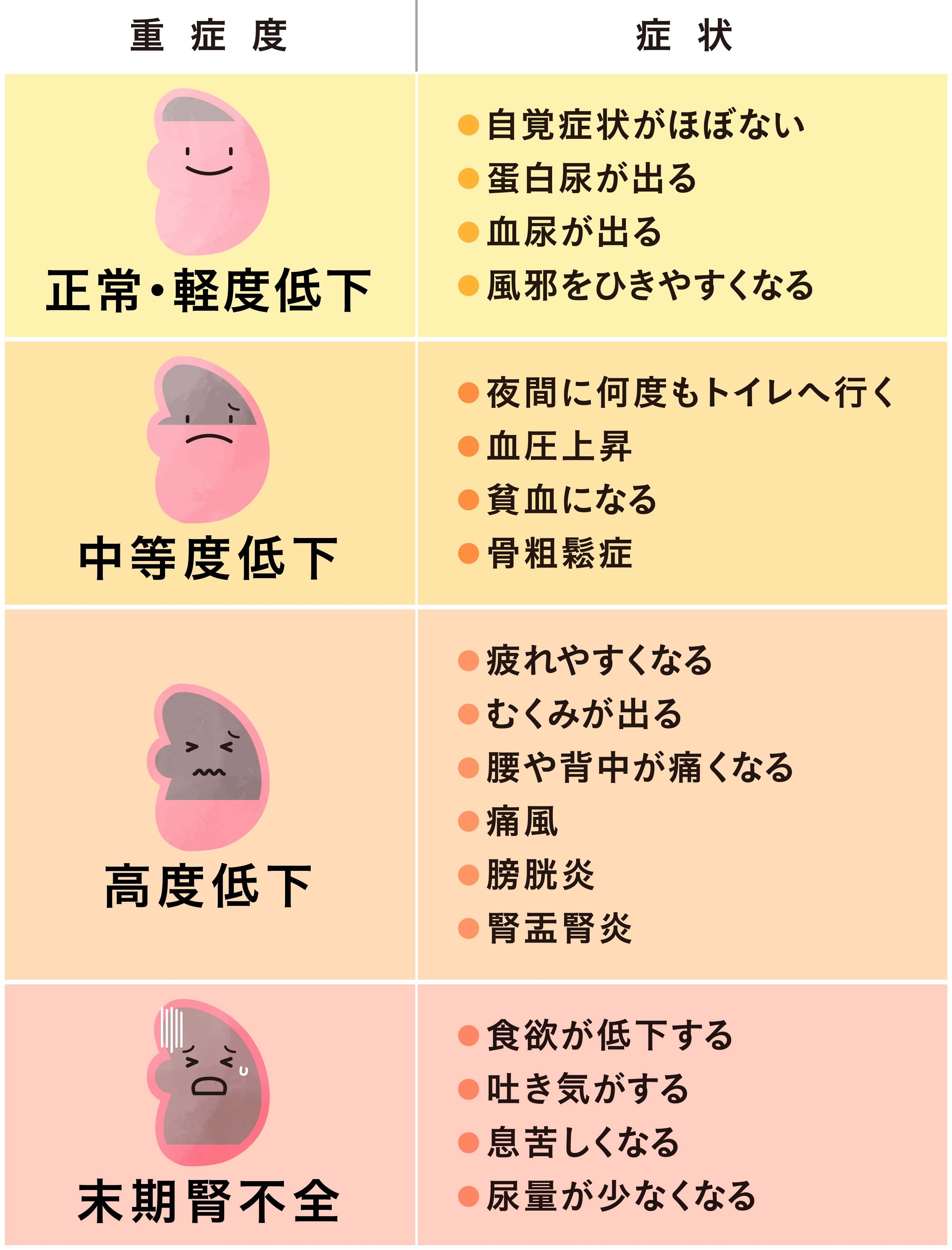 腎機能低下の初期症状と数値の真実｜だるさ・むくみは危険信号