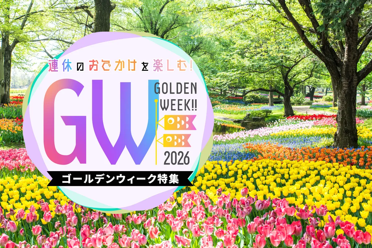 むぎとろ古民家すずの混雑と予約攻略！絶品ランチと評判を現地徹底解剖
