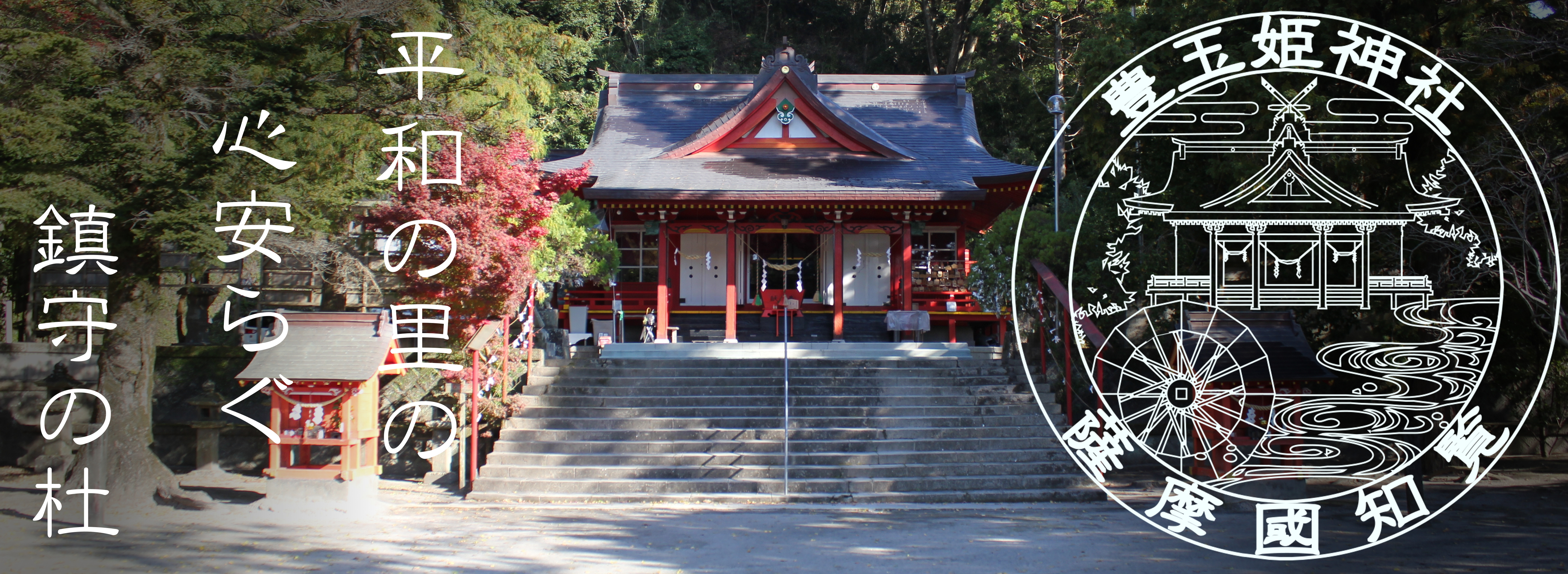 豊玉姫神社の美肌ご利益と白なまず伝説！2026年最新の参拝全貌