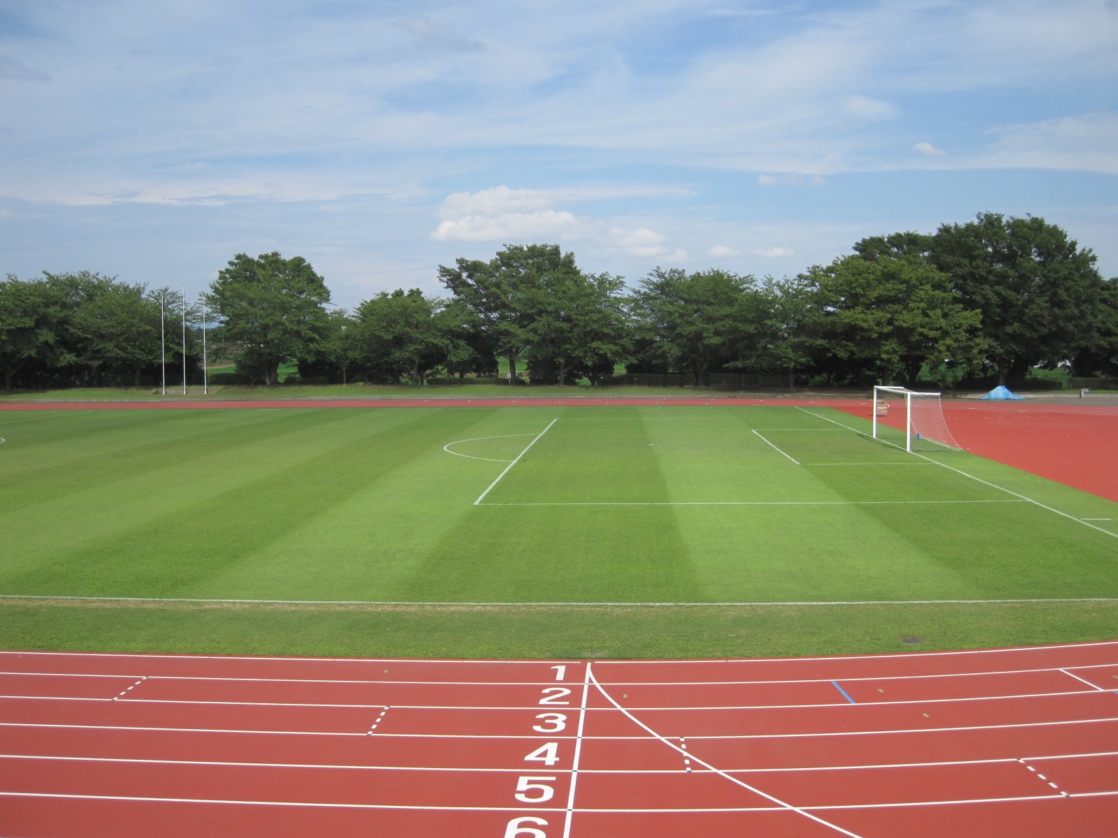 前橋総合運動公園の魅力と予約攻略！大型遊具・駐車場から混雑まで徹底解剖