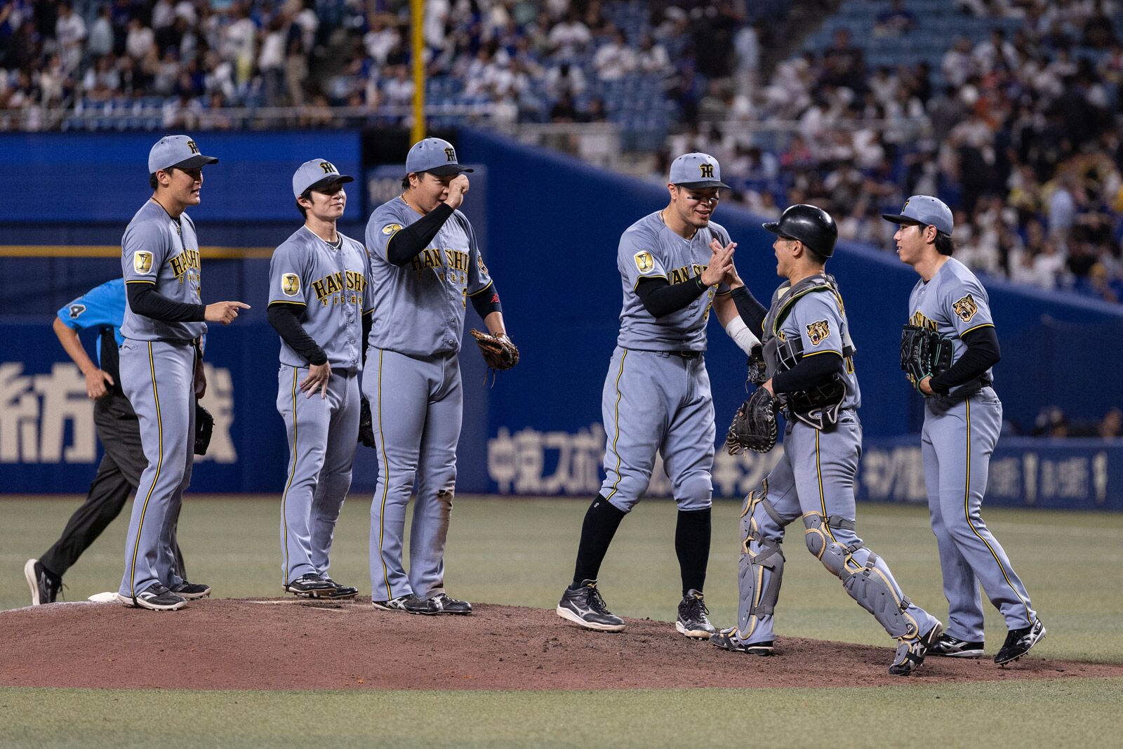 【2026最新】阪神タイガース速報！采配の意図と怪我人離脱の真相