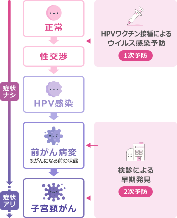 【2026年特別リポート】なぜ医師たちは我が子に打たせたのか？「子宮頸がんワクチン」をめぐる知られざる決断と日本の葛藤
