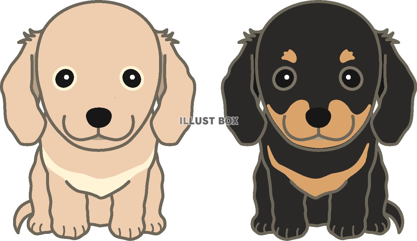 3分で描ける簡単かわいいサンタの描き方！保育やカードに役立つプロの極意