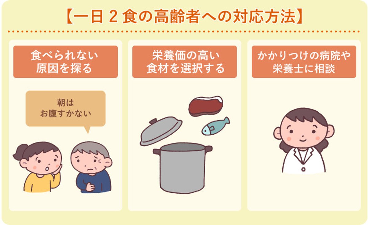 一日2食で痩せる人・太る人の決定打｜2026年最新の医学と時間帯の罠