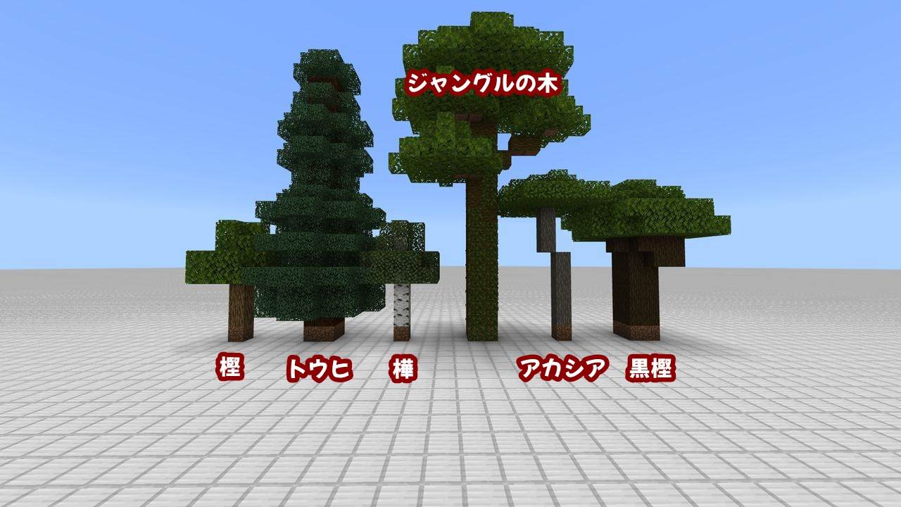 マイクラのオークの木を最速攻略！巨木化防止と自動植林の完全解説