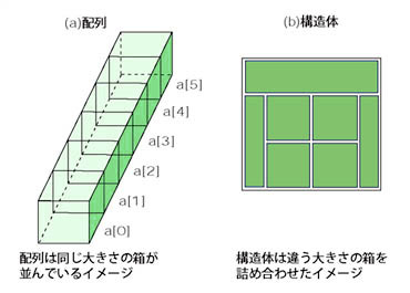 骨密度を上げる運動を徹底解説｜「かかと落とし」だけでは不十分？50代からの骨トレ最新メソッド